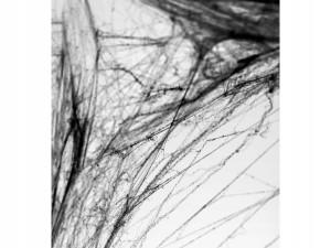 bfddfa9d0abc7902a84a7e8fef479582