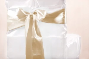 4c26e53c430a236e09ef8900ea0a2eb4