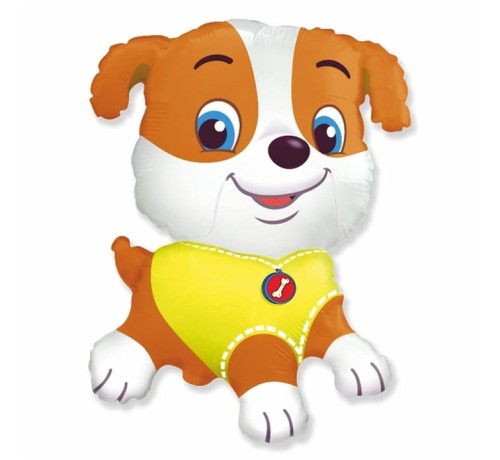 43c1ac848eec720b131f9713e8f62784