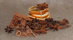 fe1e2878cd5d2c18b1f590e41d43720b