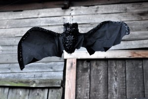 7323632b2168fa050dc4fd665a428187