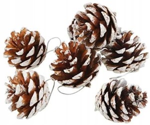 9c57a28d92af20db967f784d6efb734c