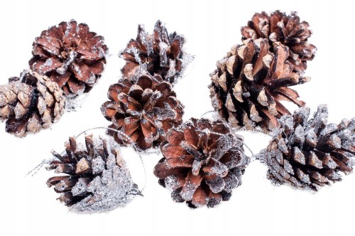 4f63e02fb74362212c81b1372036ba30