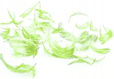 2aacae7e3cefa5aa2fcc133925442018