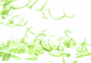 032f47ab3e10427362813bac0353feb8