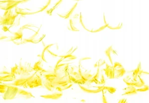 b01e046e2cc0589d6f0d265ba2f87951