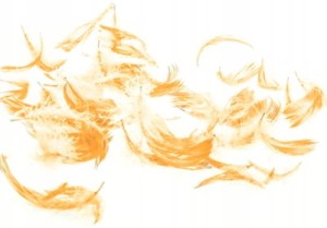 76d5f41ee4623e1bcafbb1573767c366