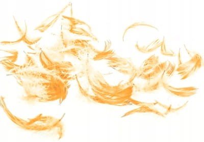 76d5f41ee4623e1bcafbb1573767c366