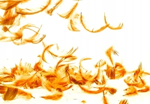 aad8800ff7acdb87ba9a724d81fefb6c