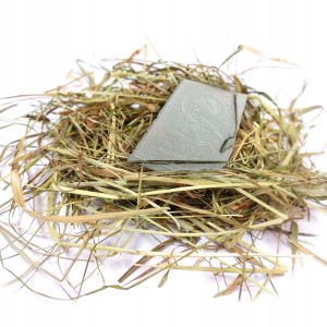 96e6f4b69b16aa2908938189d3e0336d