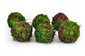 2cdab46b9303c6cd5df7fadab0b05a50