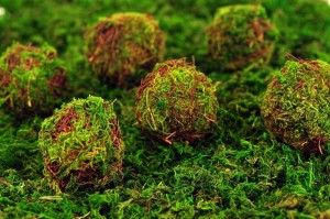 85ef9039fb7e70cde26cf5022dacaf5a