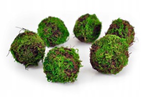 13b01d5798e3cd840394e8f14acb8cda