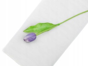 d4a974f0bbe585135575ab4e8736ec28