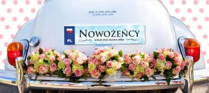 6fceb7c42d3e9527549969c3cf5d5dd5