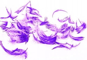 cebc2d480b794c0783ee48eee81670a8