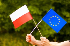 e907b94832ef3ddb189cd291b43aaf67