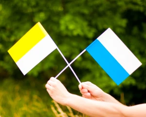 efced7b8b2707f281a2cc54efd6c23f8