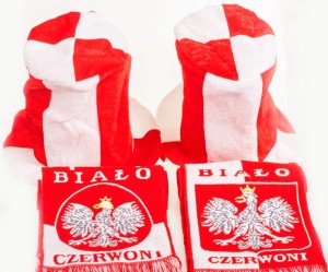 6fe667536877602f8da51c7b4ee53b88