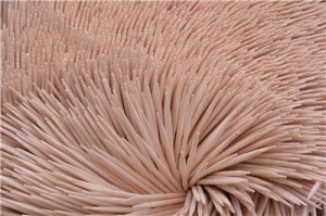 Wykałaczki (100 szt.)