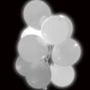 0d21759a842e79bafa37e33ad131bb0e