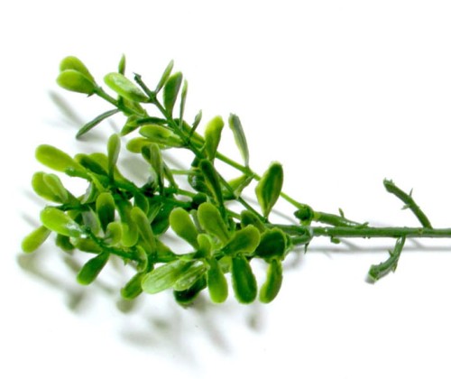 2dae6d357191c50ea2bb97c615befb9a