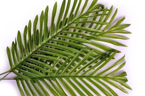 799d355cbf5b24883bdadf649c360f20