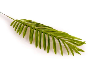 c3a12022ae19ce12581b7e0039e63097