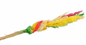 Palma mała 20 cm. 1 szt.