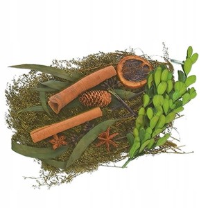 Zestaw Suszu Dekoracyjnego Naturalnego