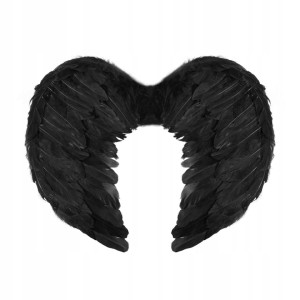 Czarne Skrzydła Anioła, 45x35 cm.