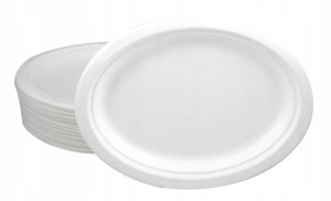 Ekologiczne Talerze z Trzciny Cukrowej, 10 szt